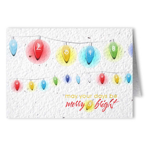 Seed Paper Folding Cards 4