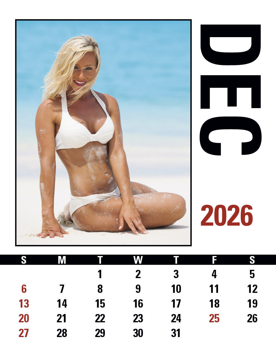 Triumph® Calendars Press-N-Stick Full-Color Header Sunshine Girls Calendar 17