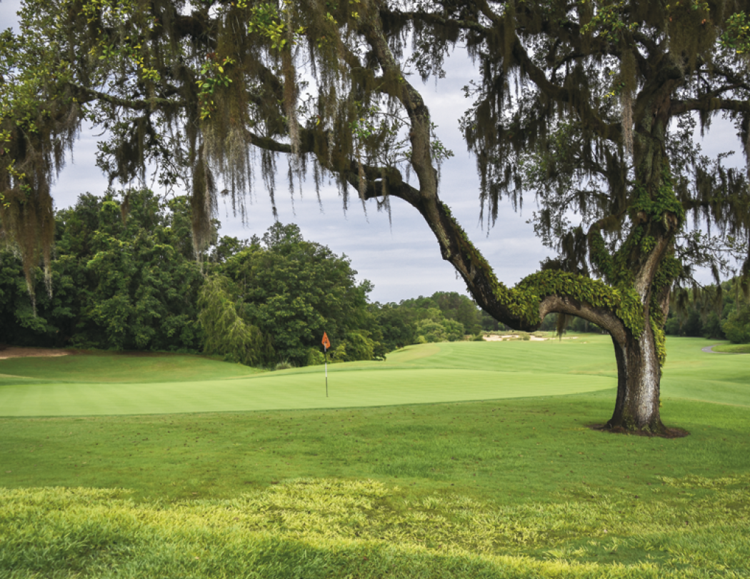 Triumph® Calendars Golf Calendar 91