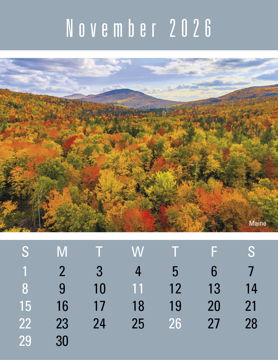 Press-N-Stick Scenic Calendar