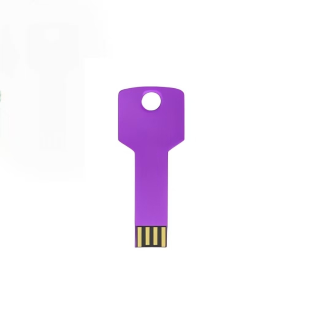 Metal Key-Shaped USB Flash Drive (512MB) 9