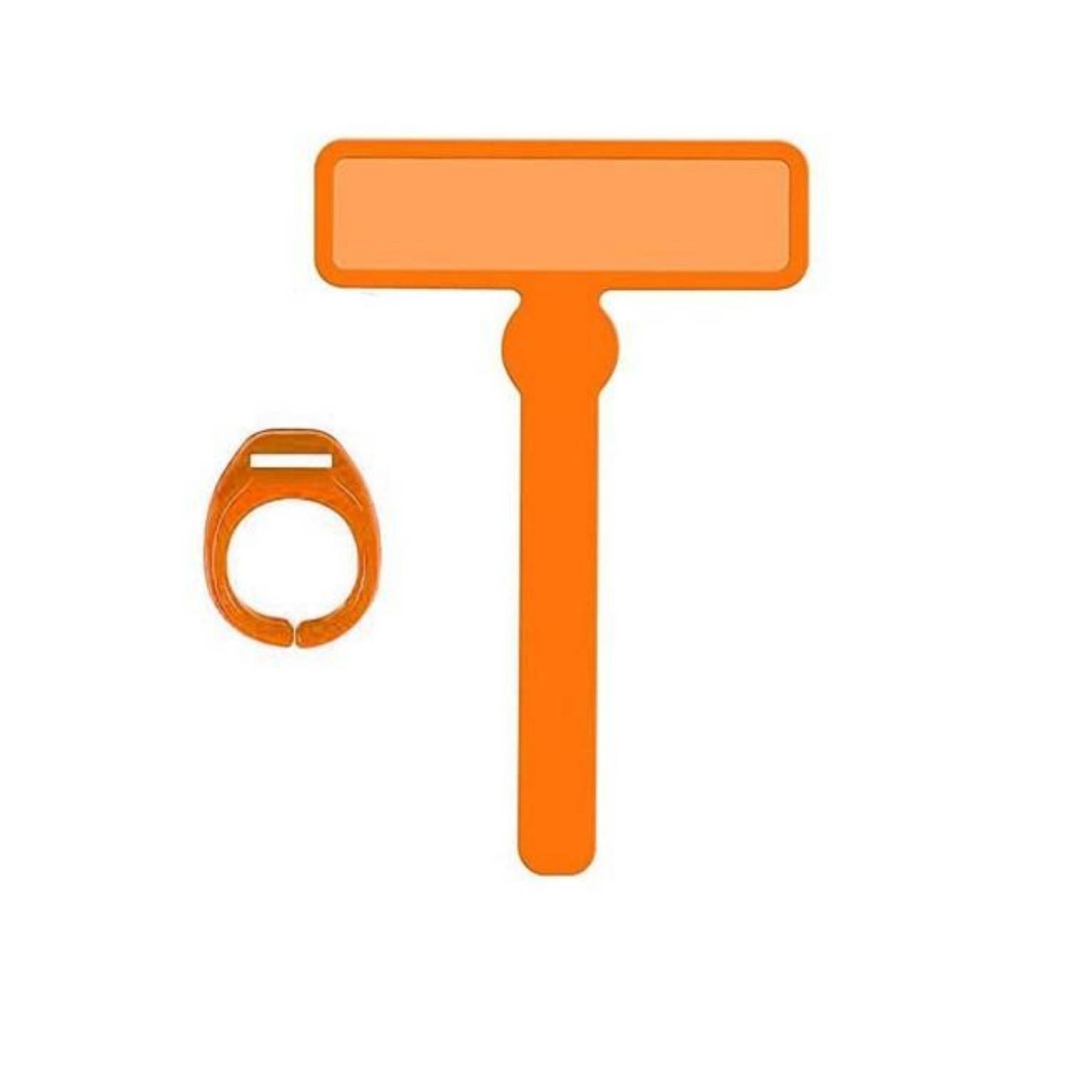 Kids Guided Reading Strip 5