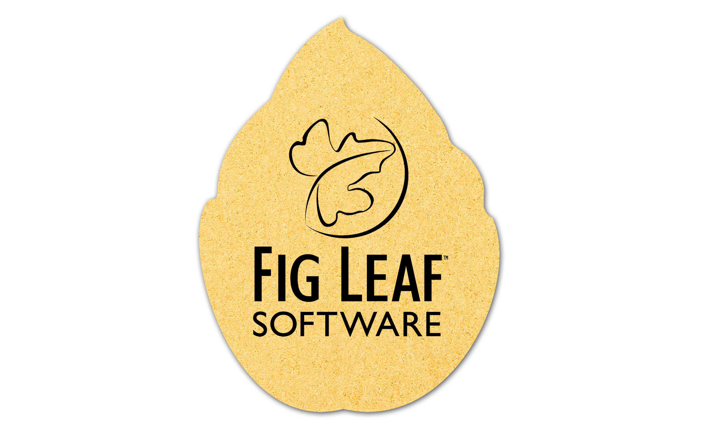 Leaf Compressed Sponge 6