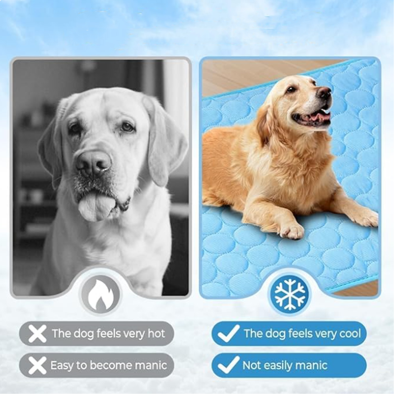 Premium Pet Mat for Comfort and Cleanliness 4