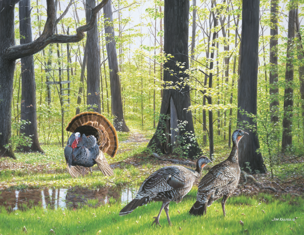 HotLine® Products Wildlife Collection Appointment Calendar - Stapled 62