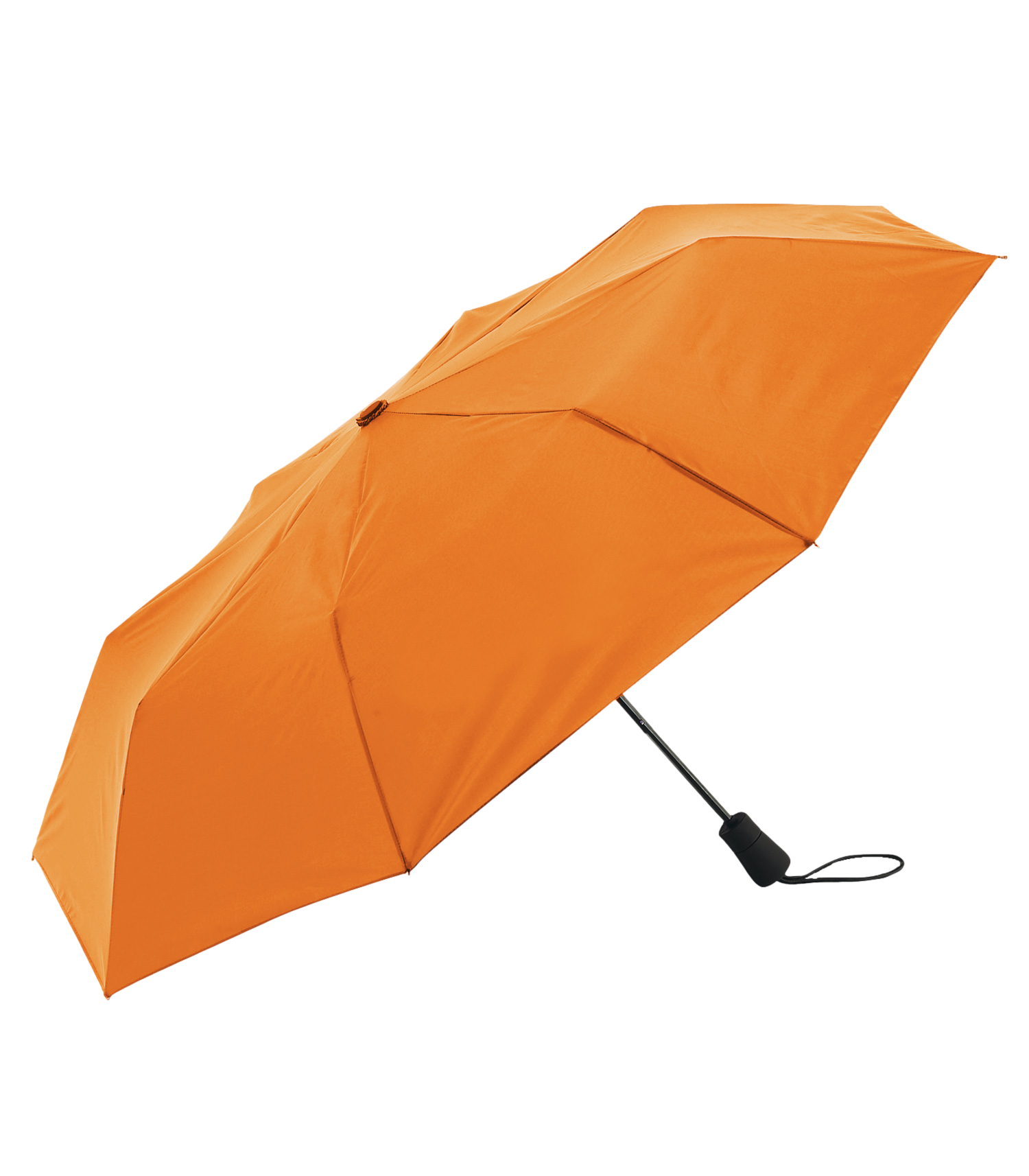 The Element Umbrella 2