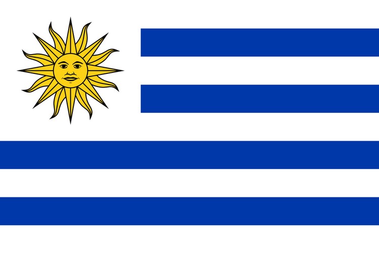 Urguay Flag - 3' x 5' - Nylon 1