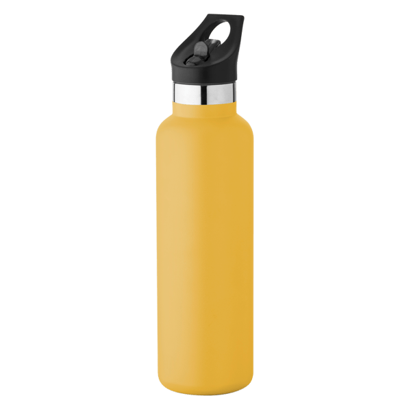 20 oz Basecamp Mesa Tundra Bottle with Screw Top and Flip-Top Straw Lid 243