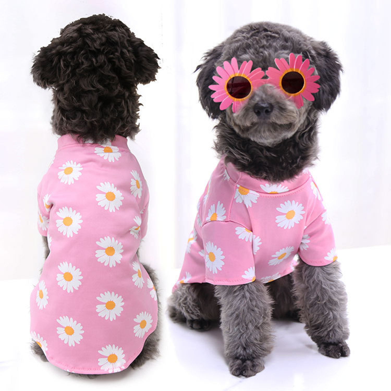 Fashion Pet Clothes 2