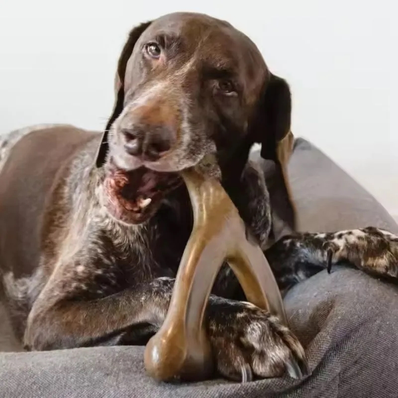 Pet Dog Bone Chew Toy 2