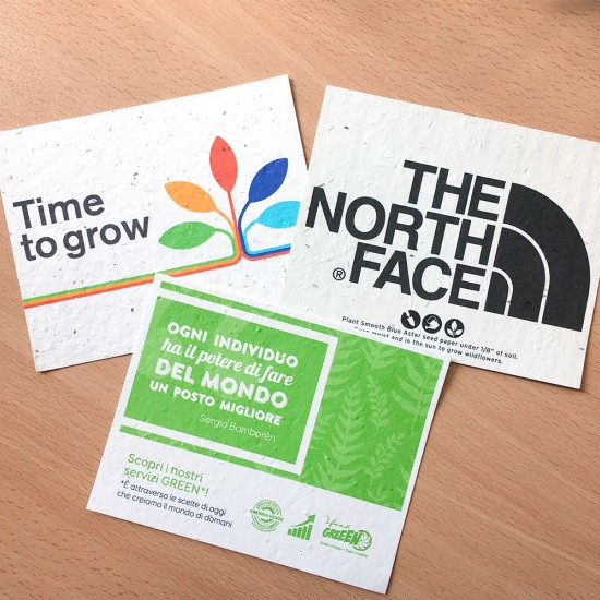 Single-Sided Plantable Postcards 4