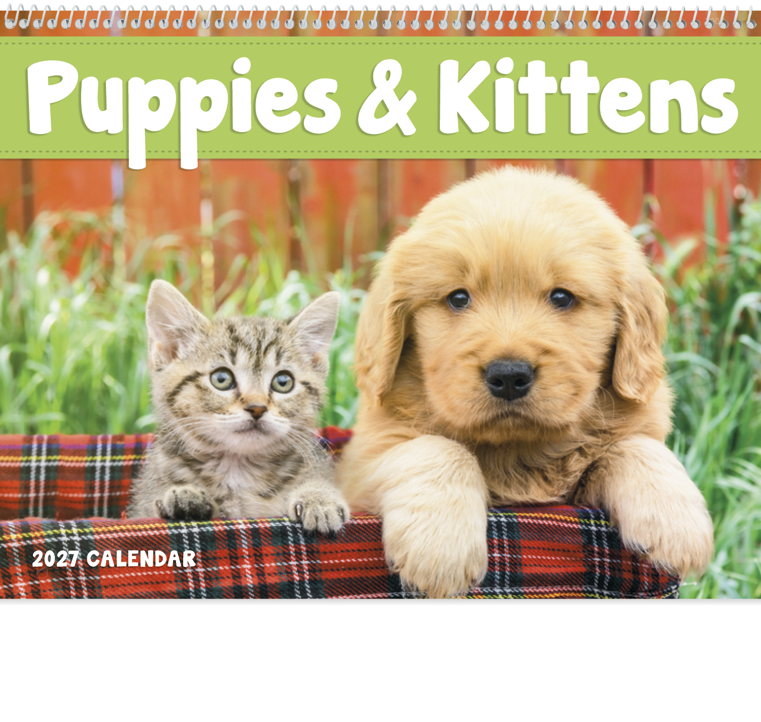 Good Value™ Puppies & Kittens - Spiral Calendar 34
