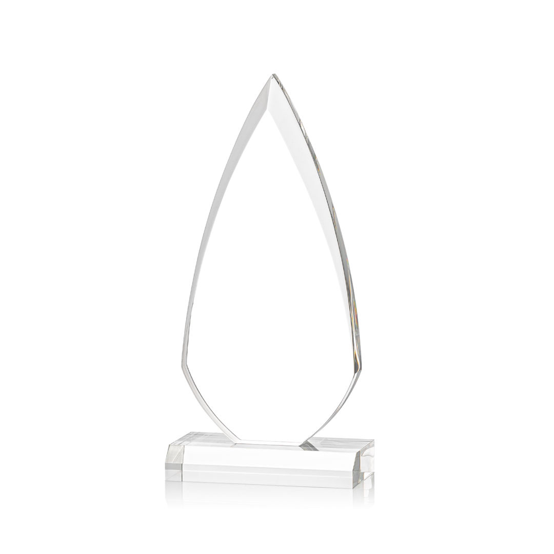 Vanderbilt VividPrint™ Award 10