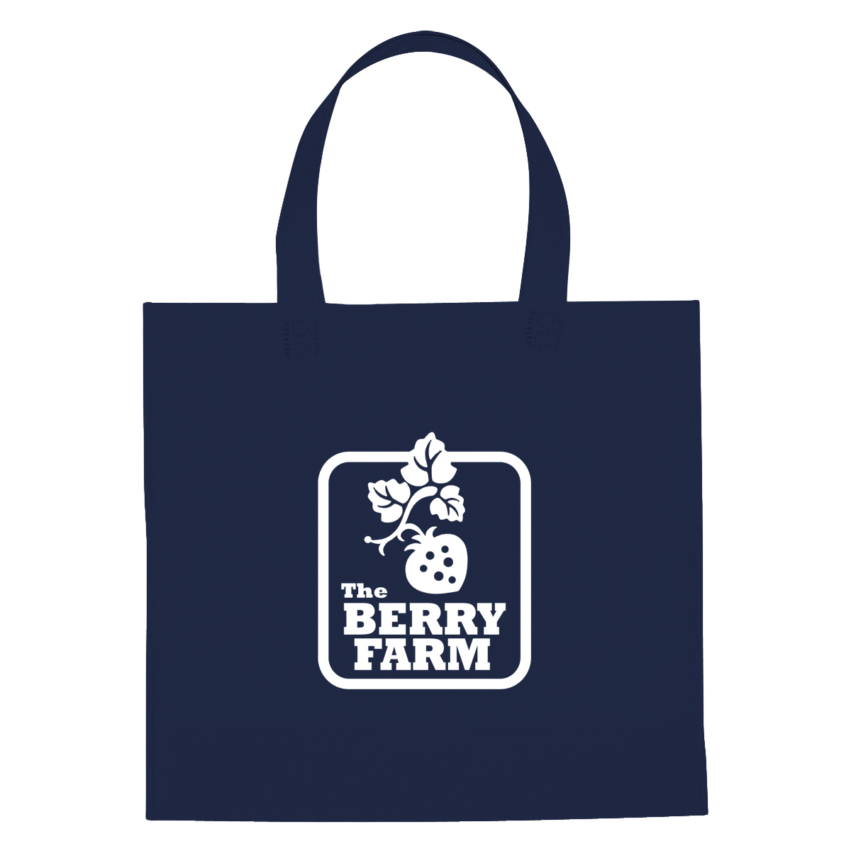 Non-Woven Mini Brochure Tote Bag 9