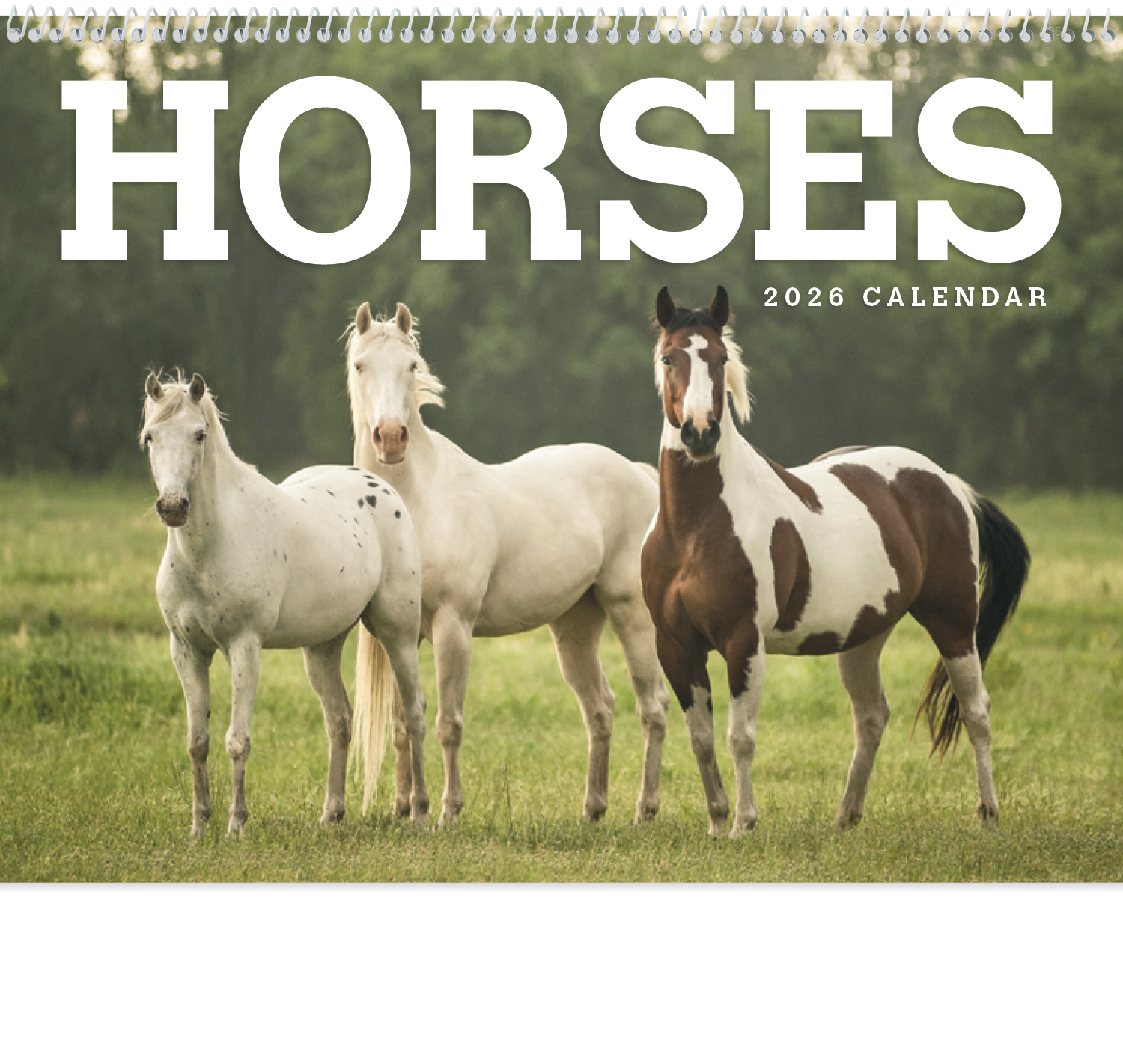 Triumph® Calendars Horses Calendar 38