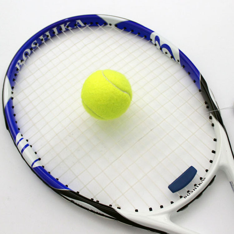 Tennis Ball / Dog Toy Ball 4