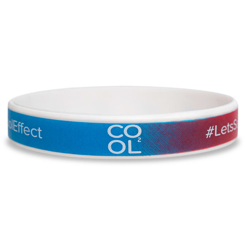 Full Color Printed Wristbands 53