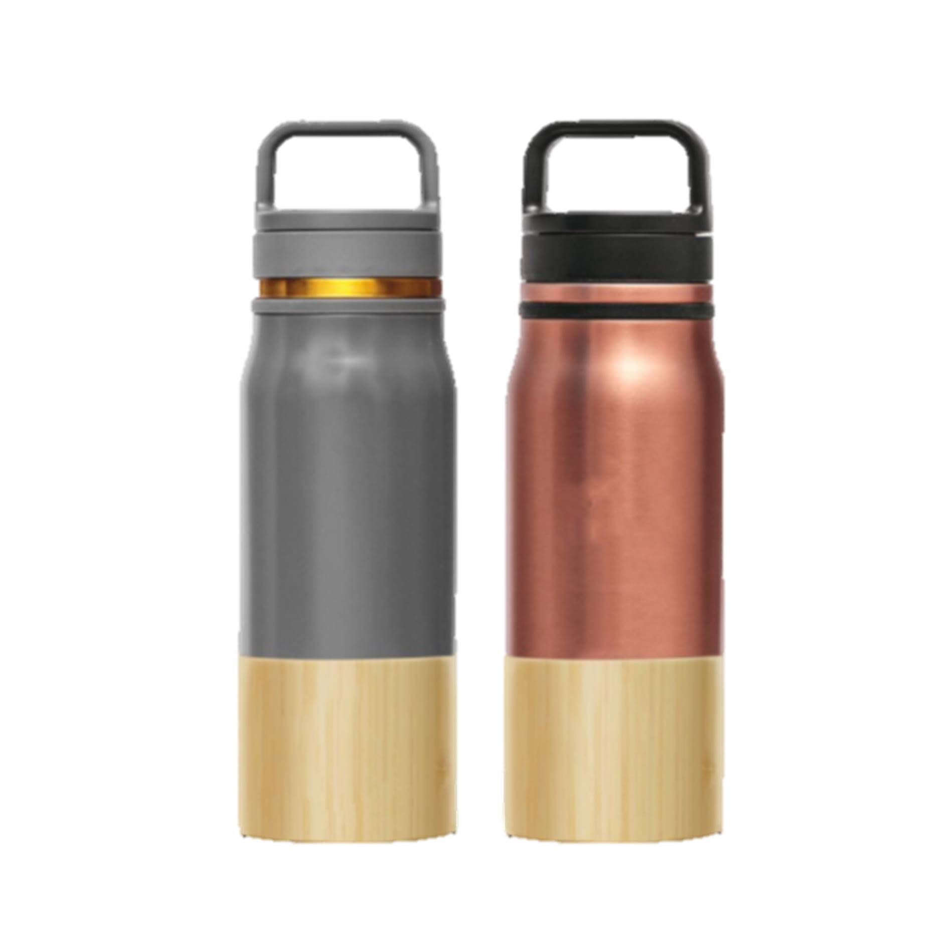 Portable Stainless Steel 22 Oz. Tumbler w/Handle 2