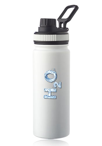 Houston 23 oz. Stainless Steel Water Bottle with Carrying Handle 9