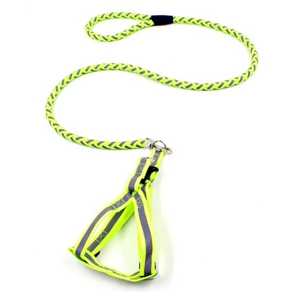 Glowing Pet Rope 2