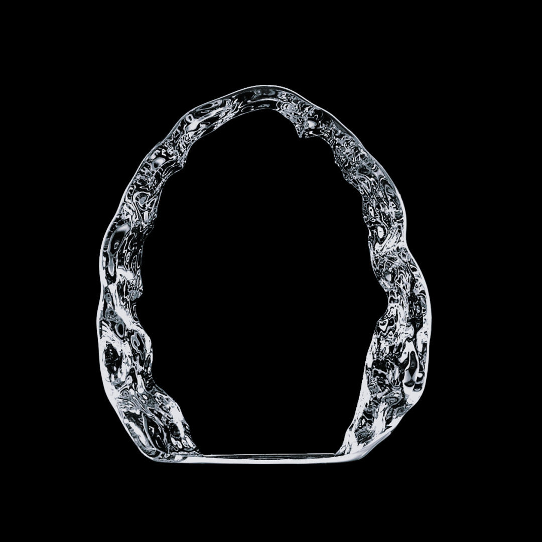 Naughton Iceberg Award 3