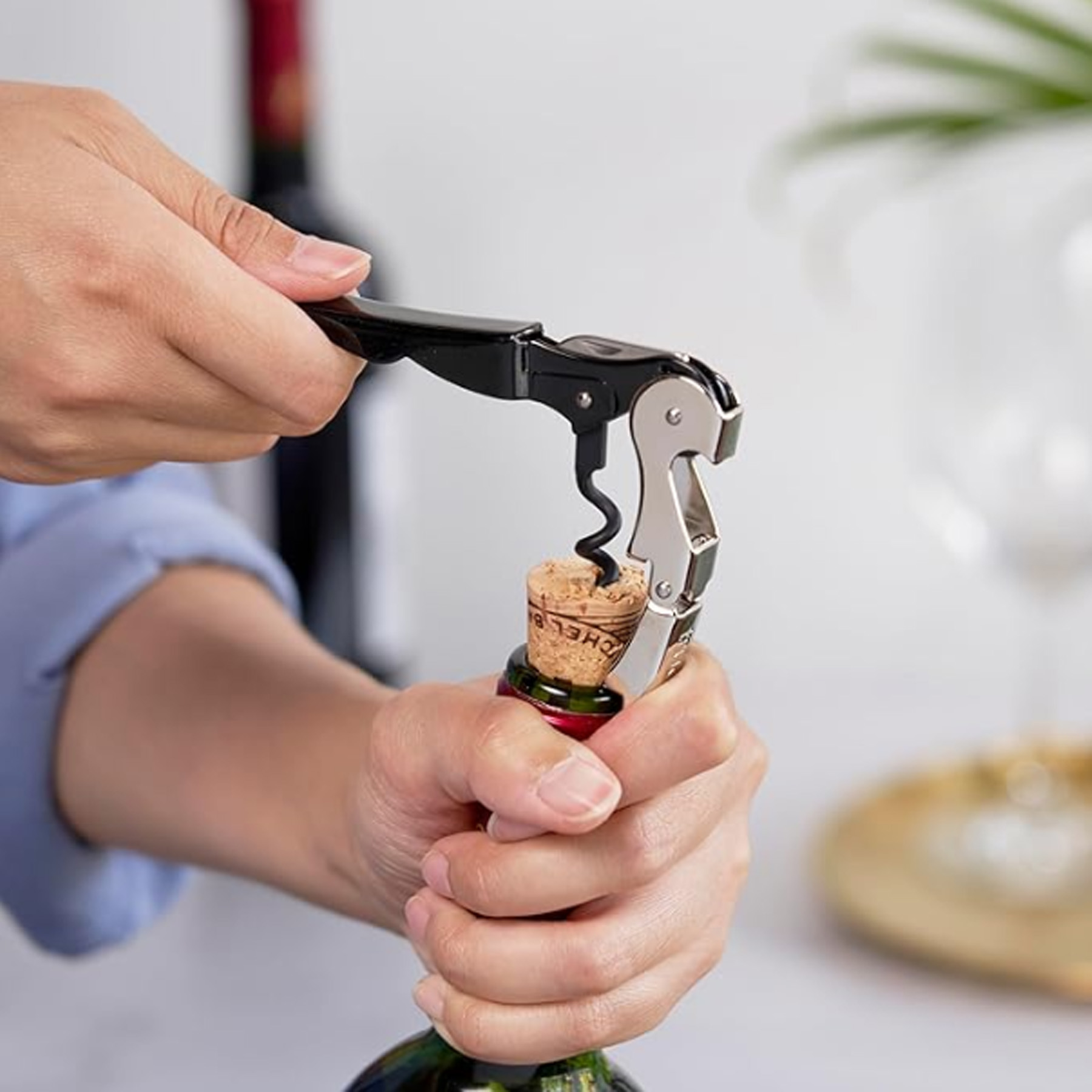 Multi Functional Seahorse Red Wine Bottle Opener 4