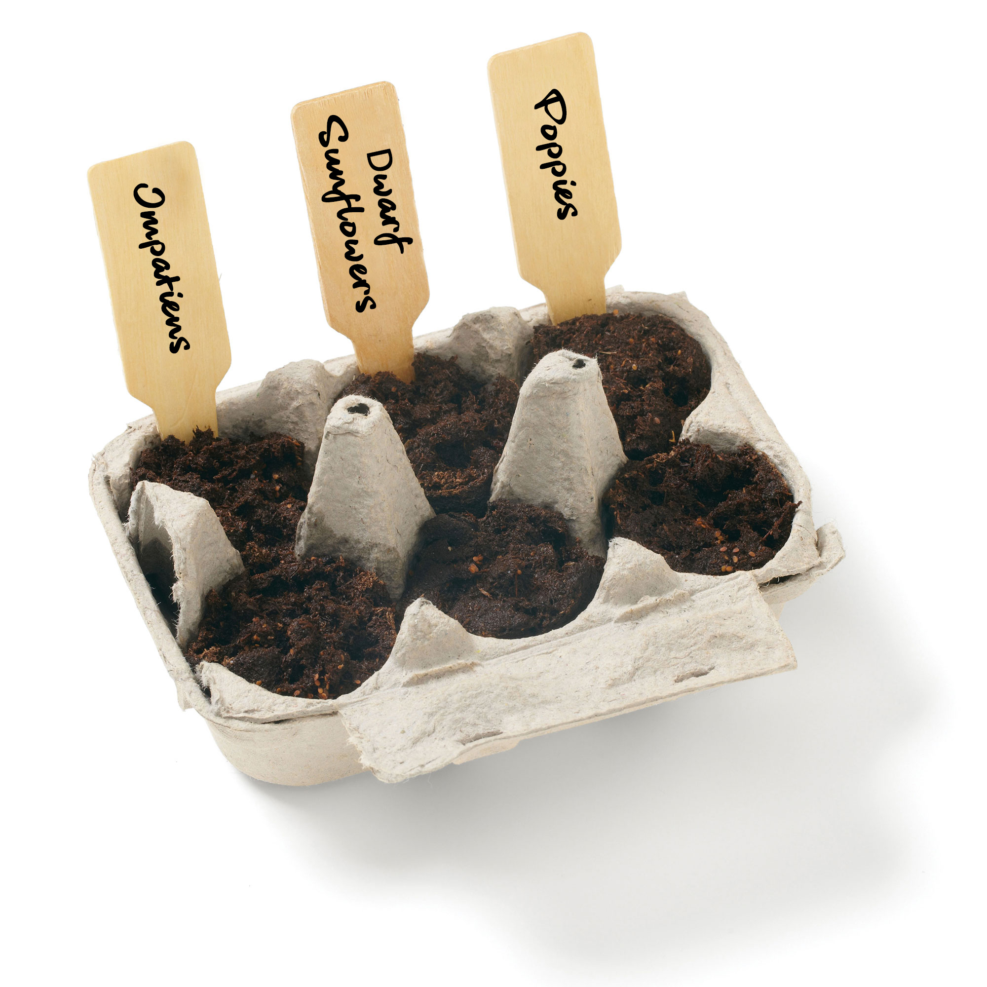 Grow Your Own Wildflower Garden Kit w/Seeds 4