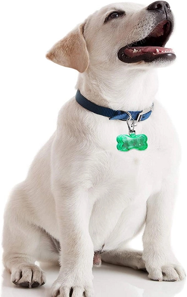 LED Pet Tag 2