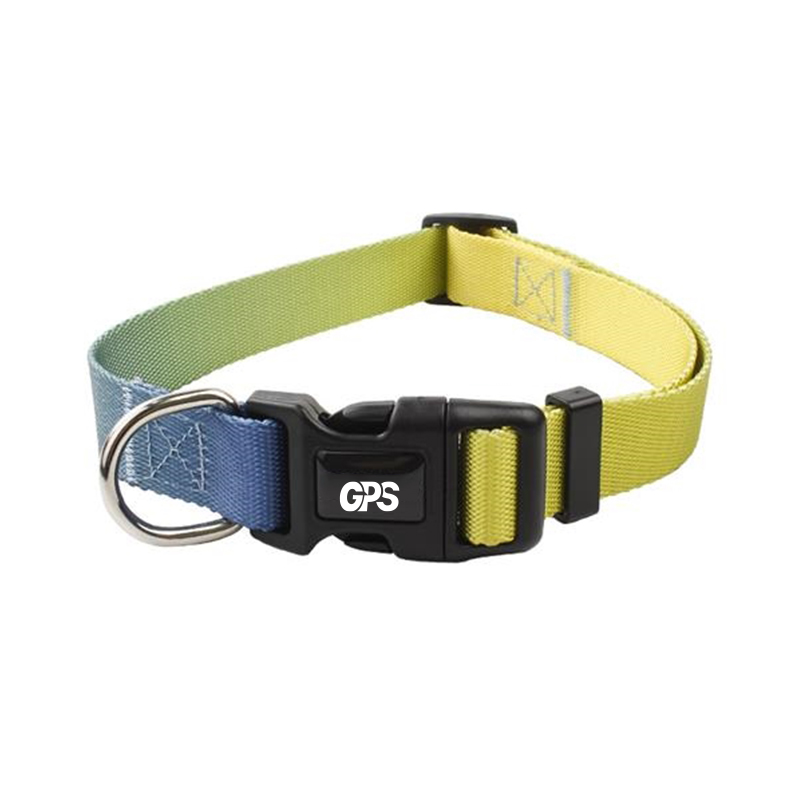 3/4 " Width Gradient Nylon Pet Collar with Traction Rope 4
