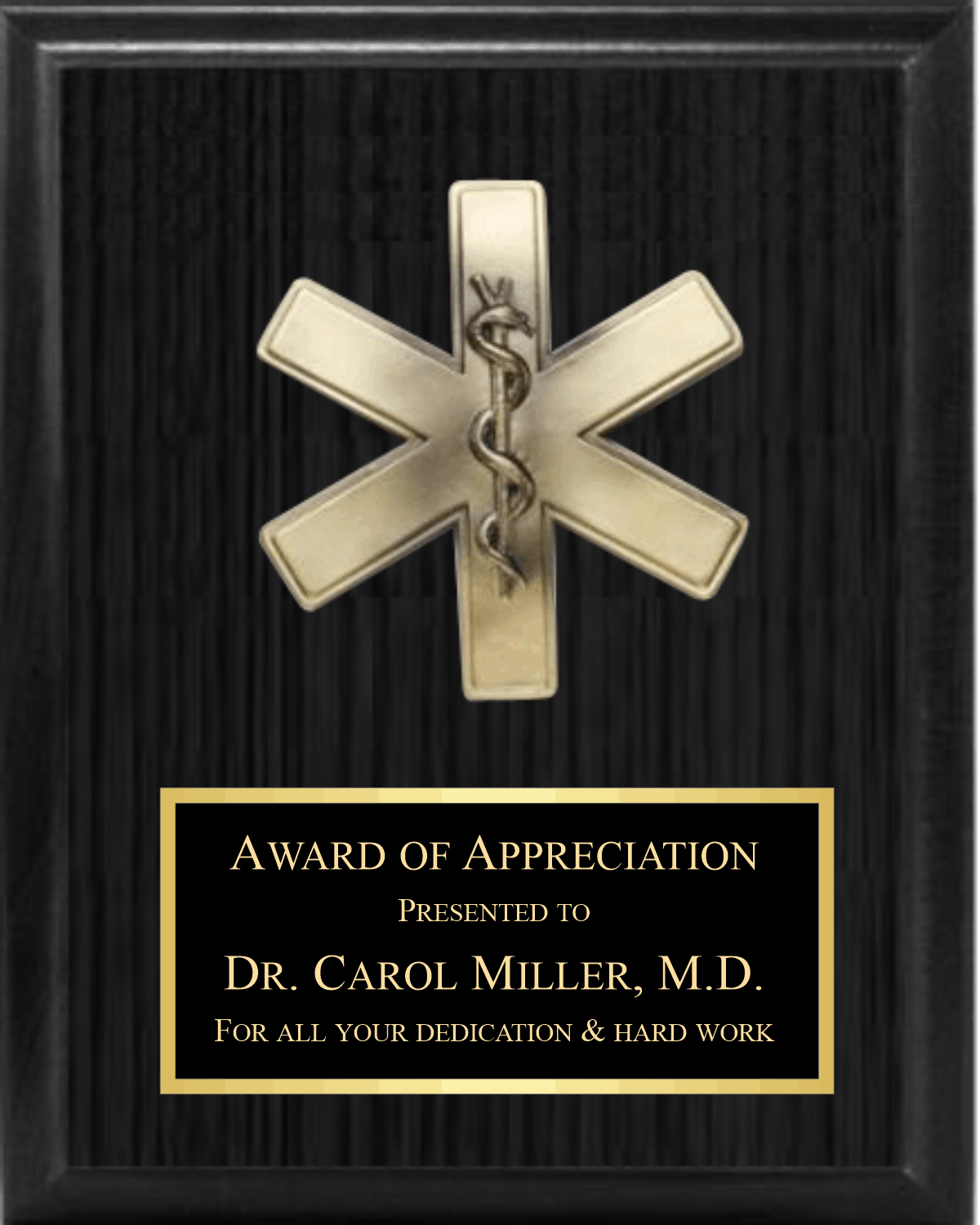 5" Star Of Life On Plaque 2