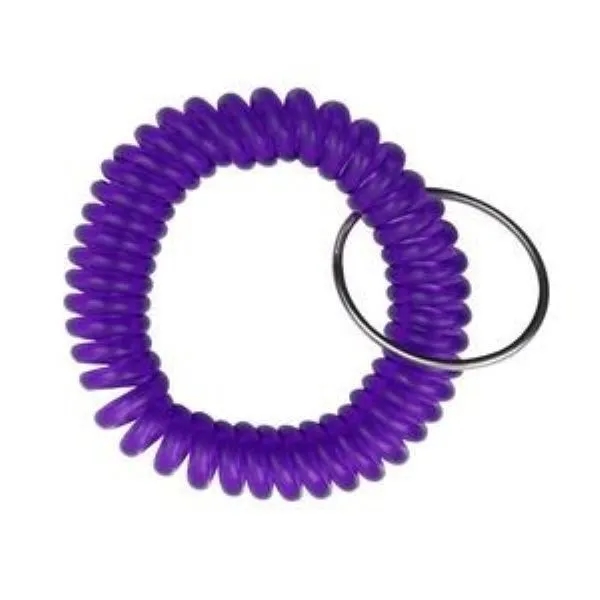 Transparency Flexible Spiral Coil Stretchable Key Chain 4