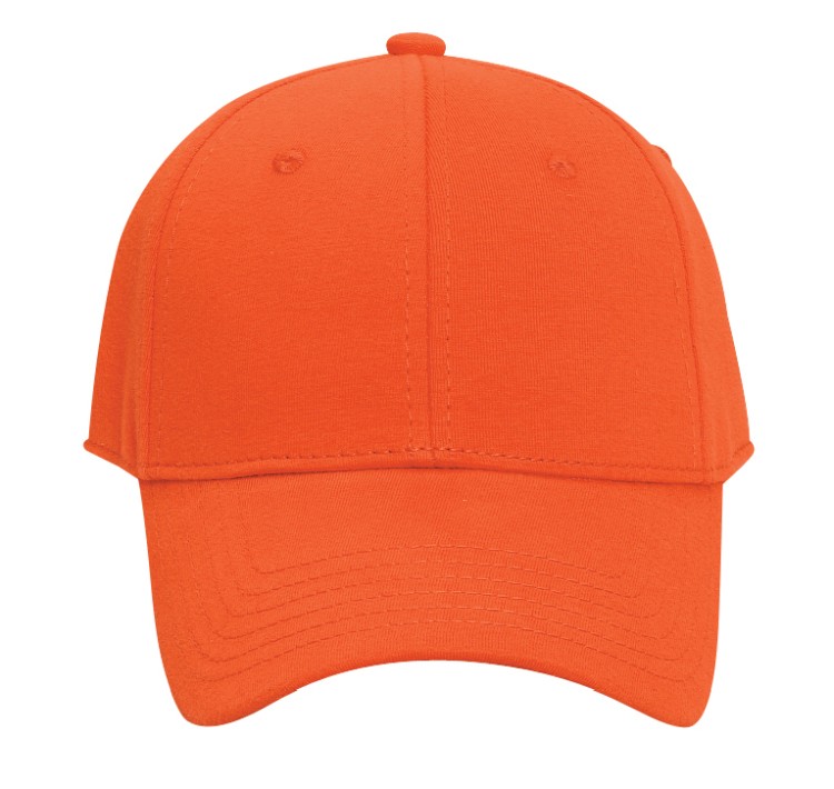 OTTO CAP® 6 Panel Low Profile Baseball Cap 99