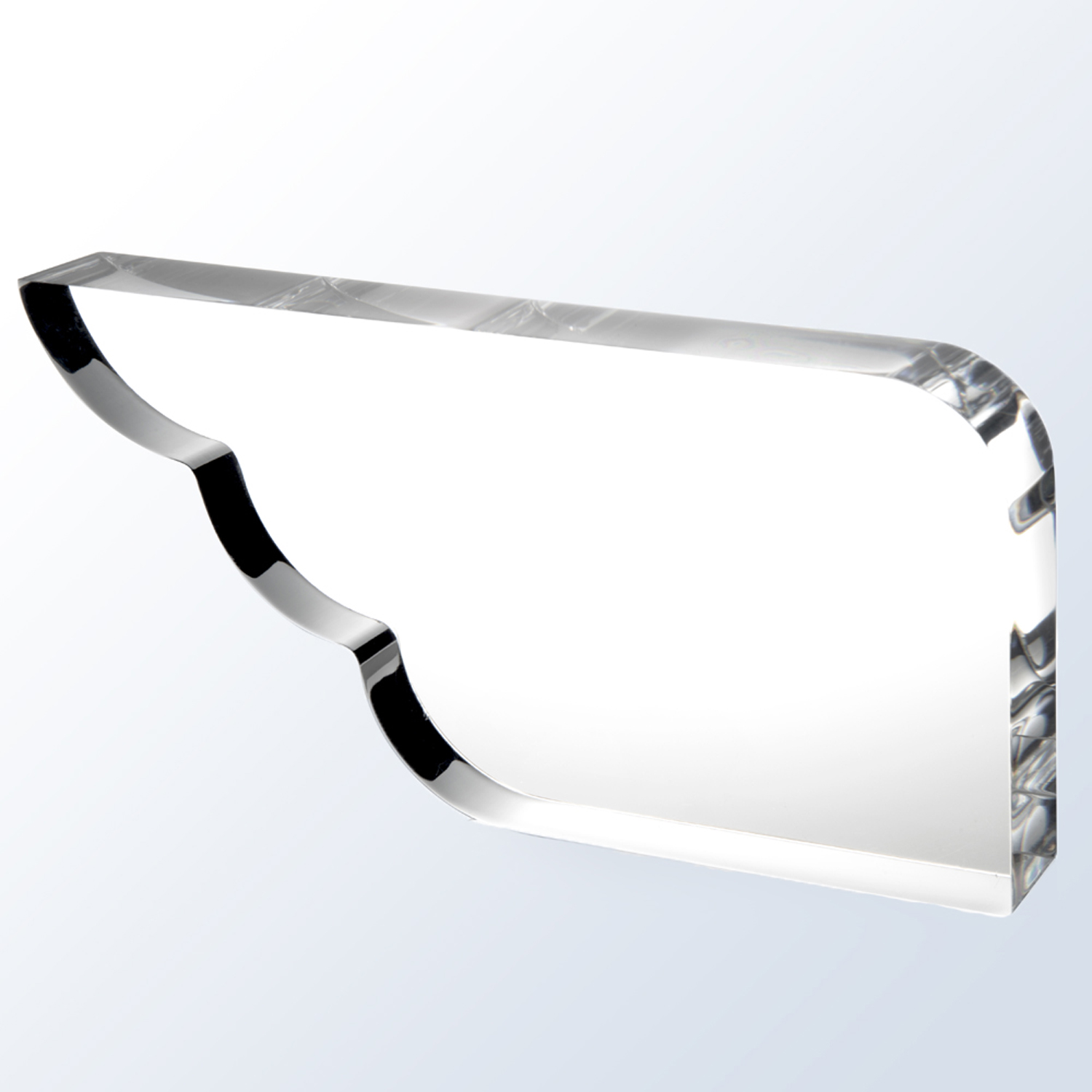 Wing Acrylic Award 1