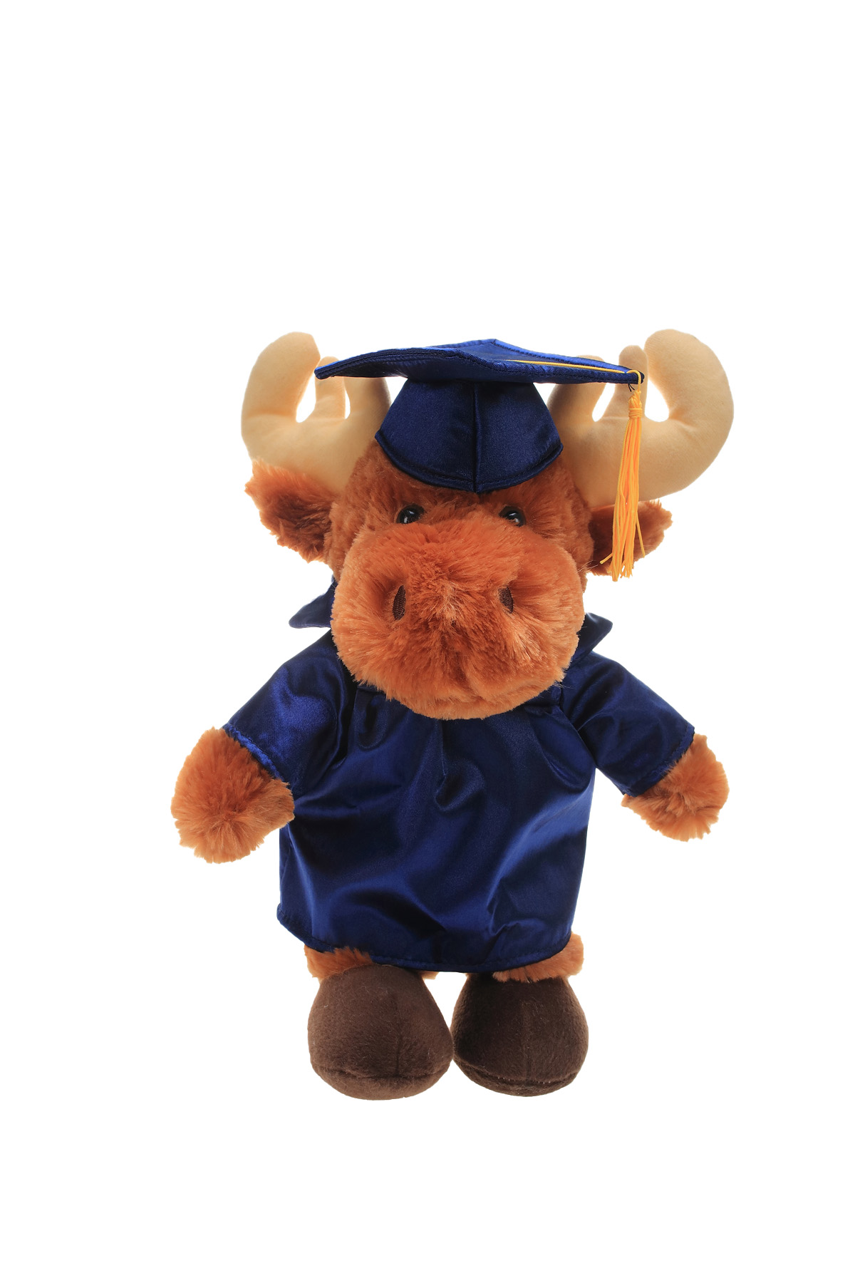 soft plush Moose with graduation cap &gown 2