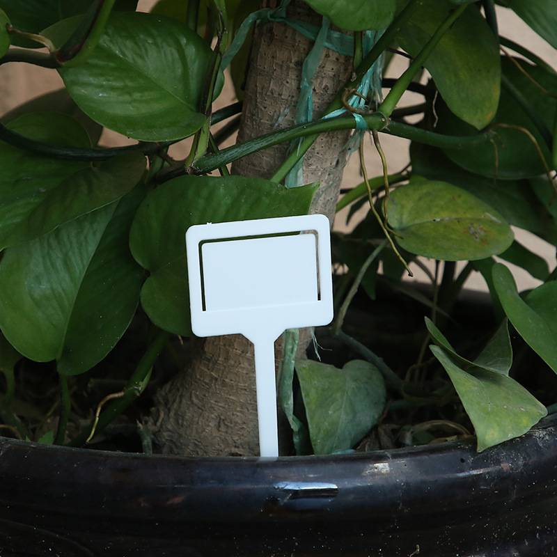 Plastic Sign Board 1
