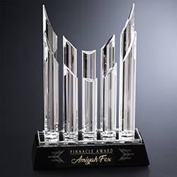 Vestige Award 6