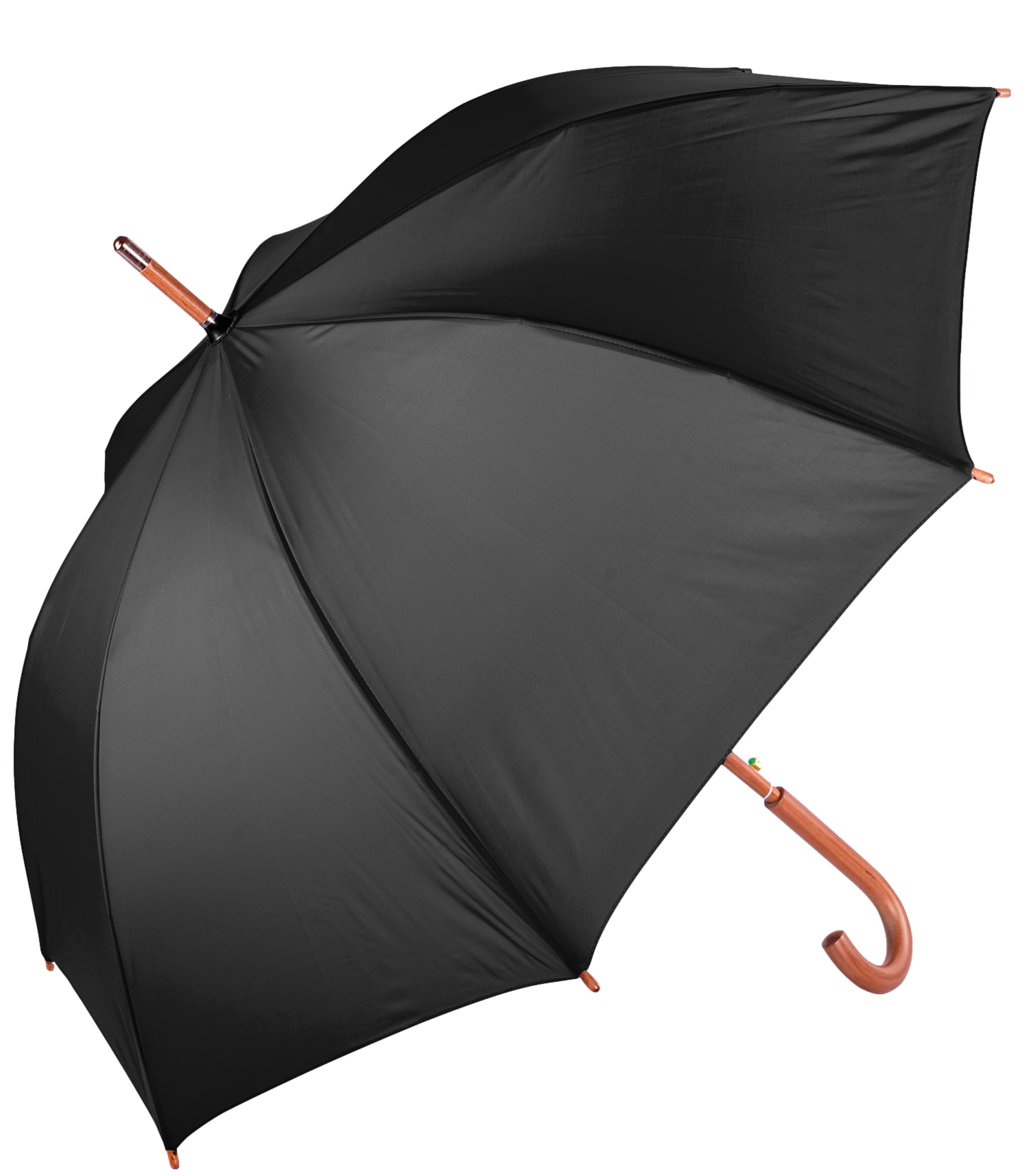 The Hotel Umbrella 6