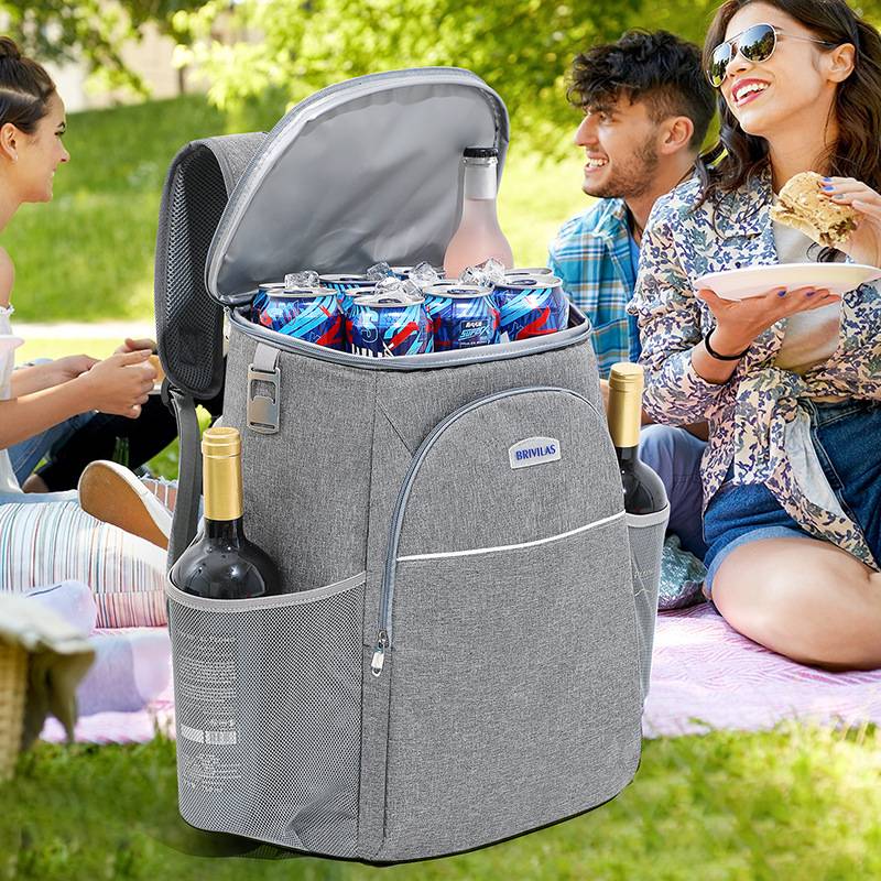 Large Capacity Insulated Lunch Backpack 2