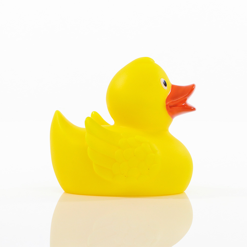 Duck With Wings 7