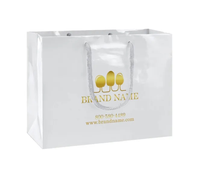 Foil Printed Paper Bags (Double Sided printing) 9