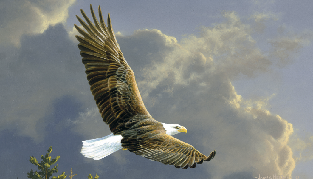 Triumph® Calendars Wildlife Art by the Hautman Brothers Calendar 43