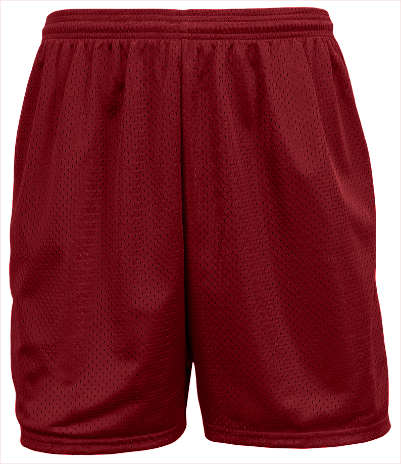 A4 Sprint 4" Lined Tricot Mesh Shorts 11