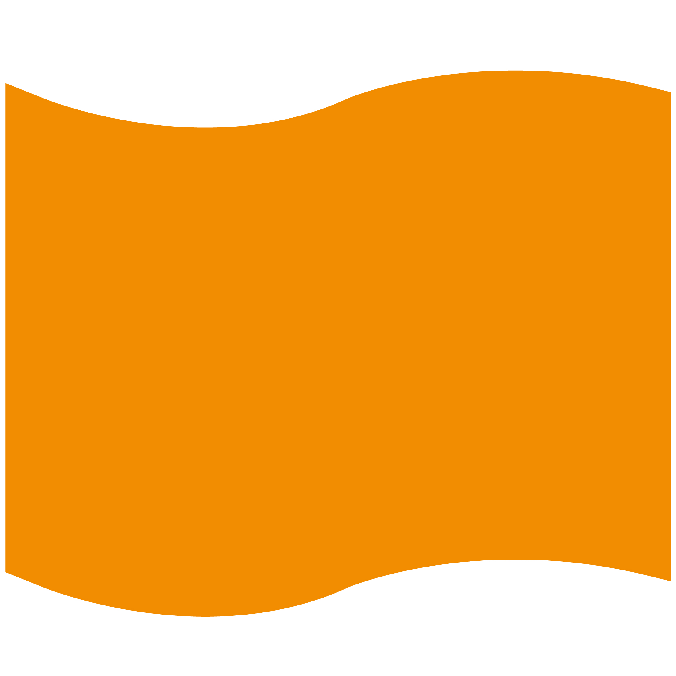 Foam Flag Mitt 17
