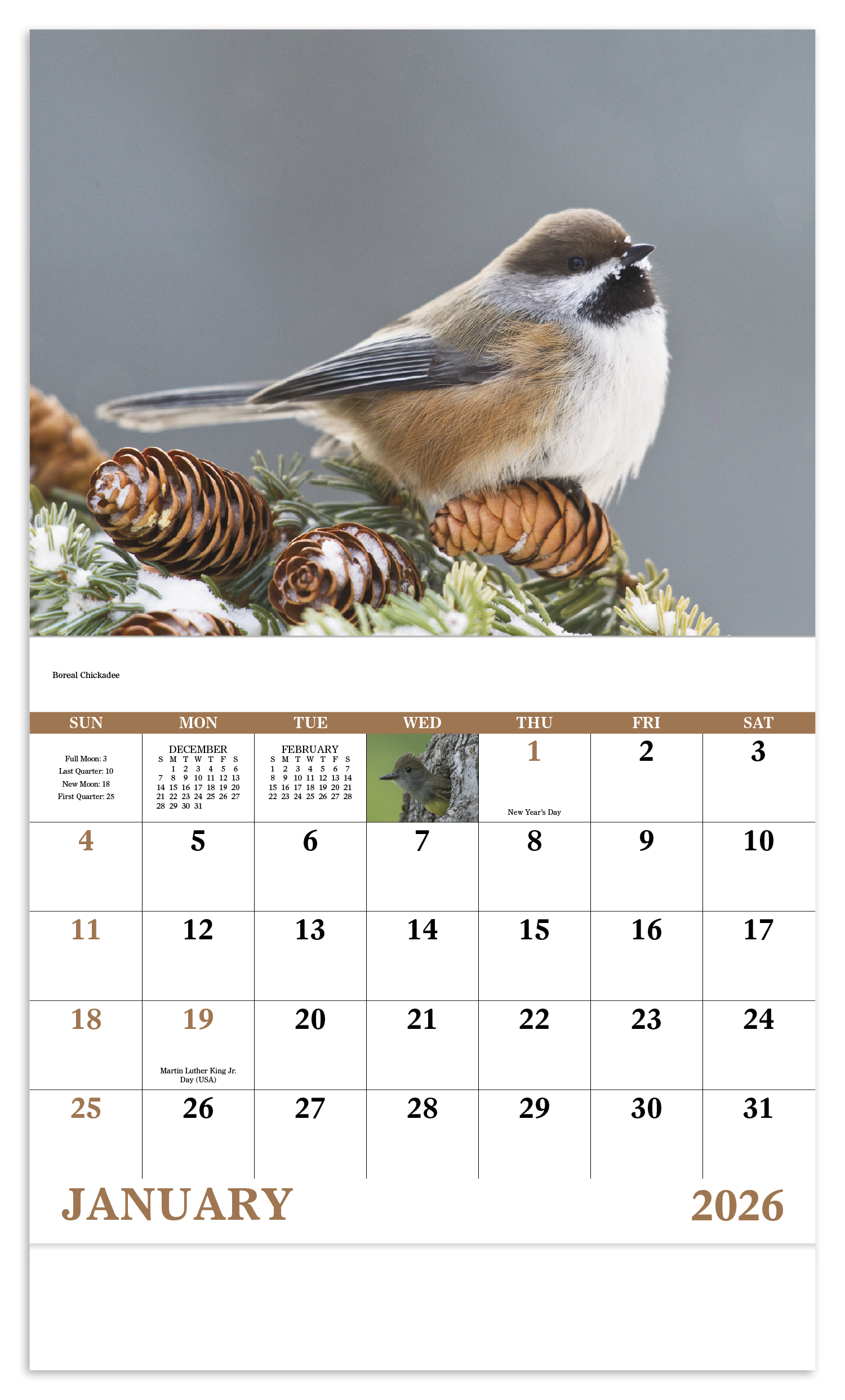 Good Value™ Birds of North America - Stapled Calendar 42