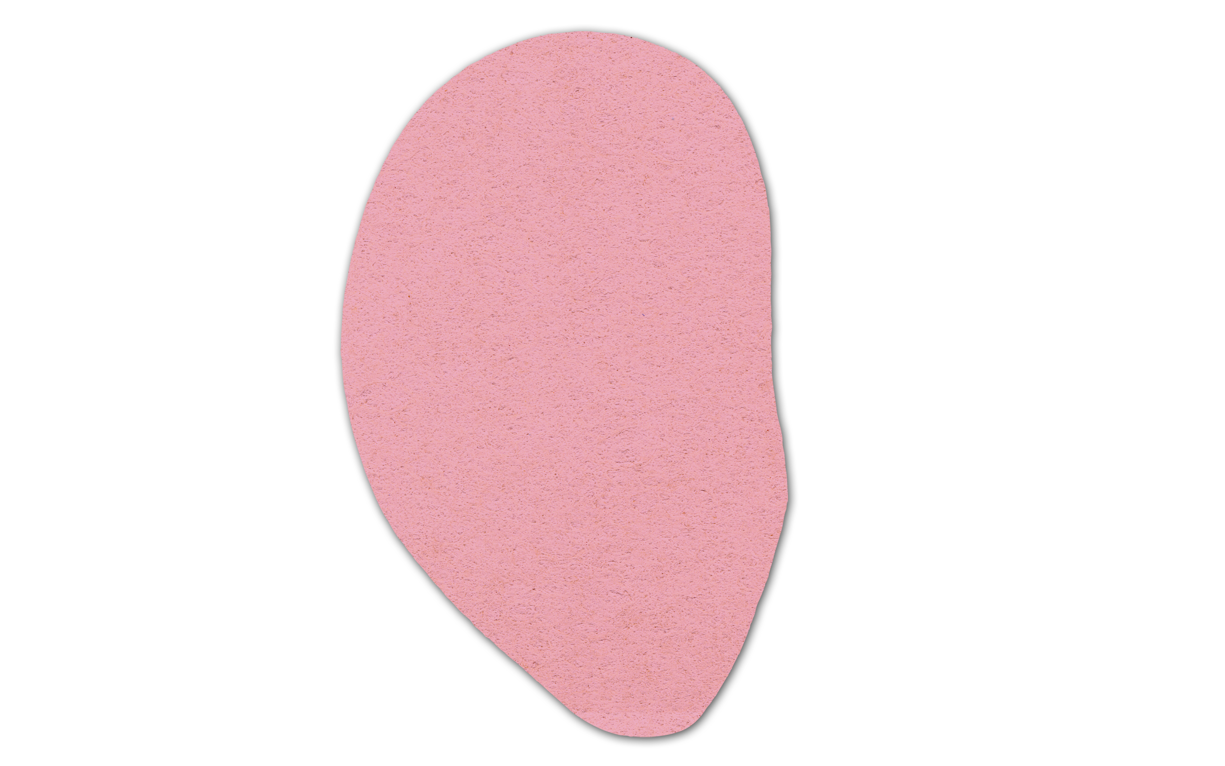Ear Compressed Sponge 5ER 3