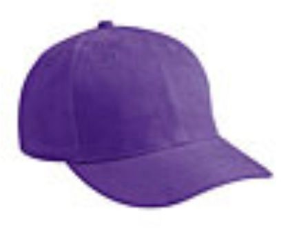 Embroidered Brushed Bull Denim Caps 3