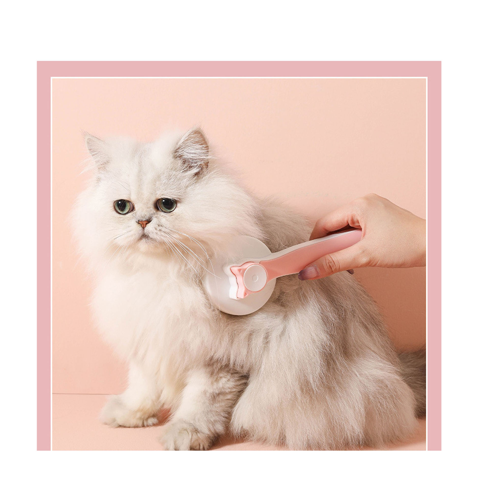 Effective Pet Grooming Brush for All Fur Types 2