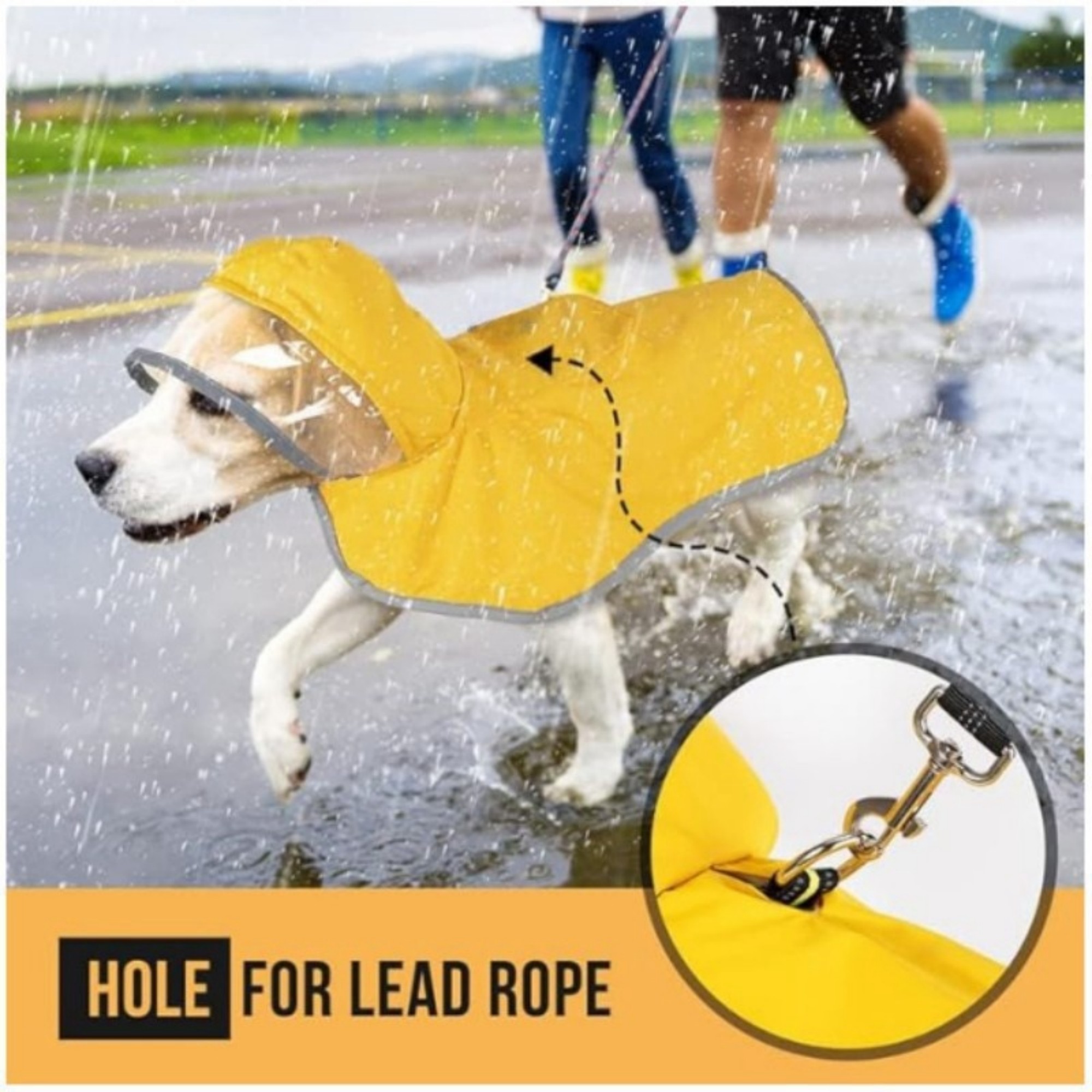 Dog Raincoat 3