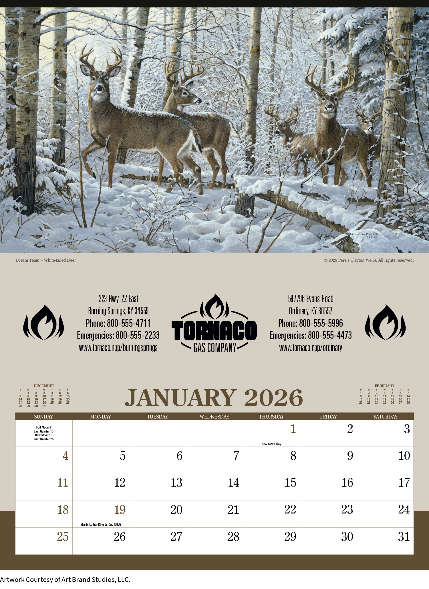 Triumph® Calendars Wildlife Art Calendar 7