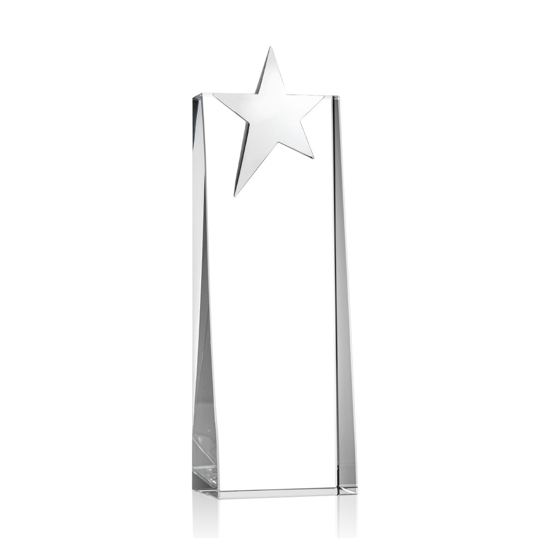 Fanshaw Silver Star Award 9